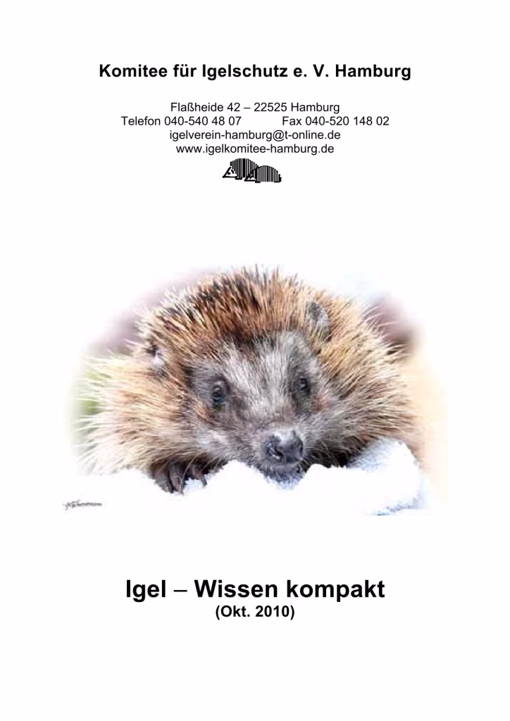Titelseite der PDF: "Igel – Wissen kompakt"